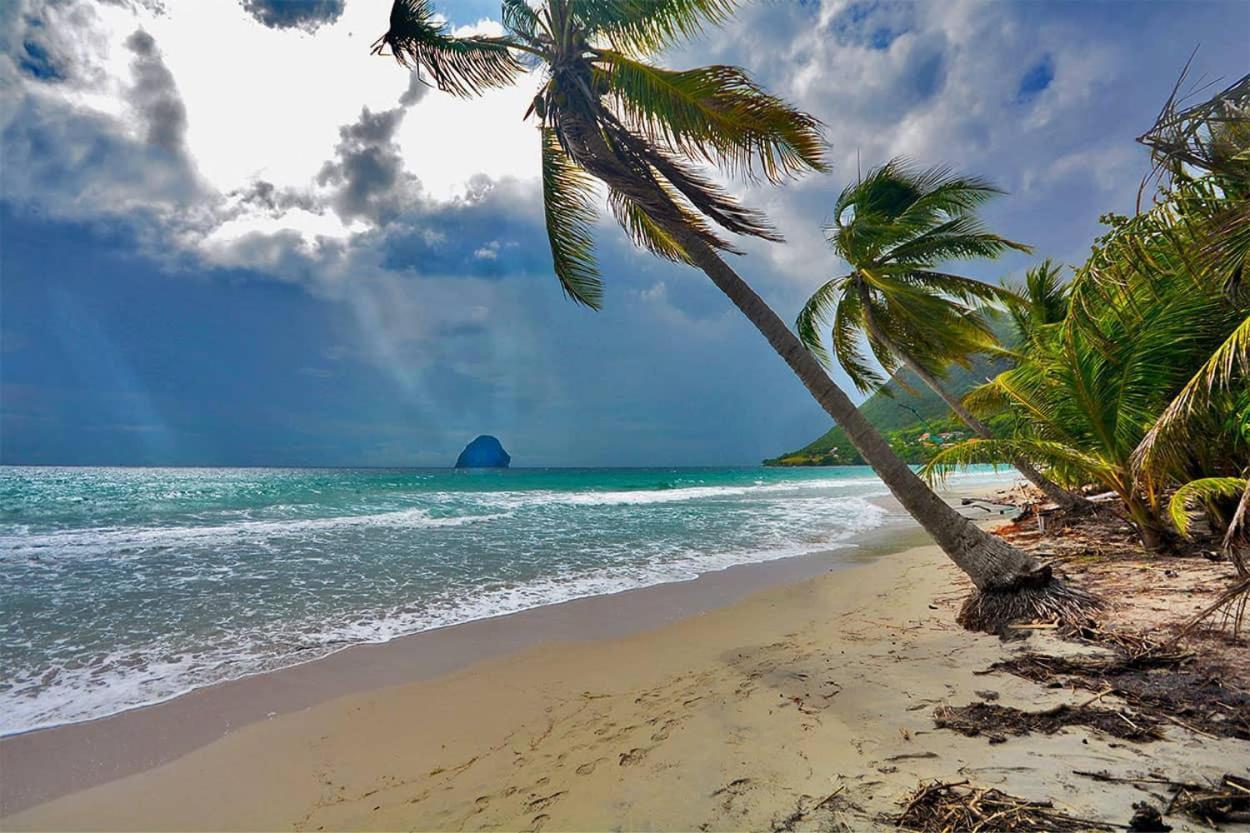 Malilia Beach A Sainte-Anne - Wifi -5 Min A Pied De La Plage المظهر الخارجي الصورة